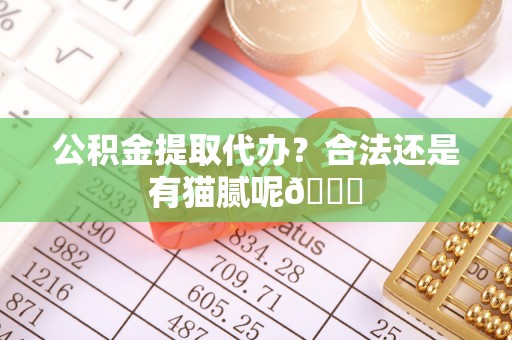定边公积金提取代办？合法还是有猫腻呢😏